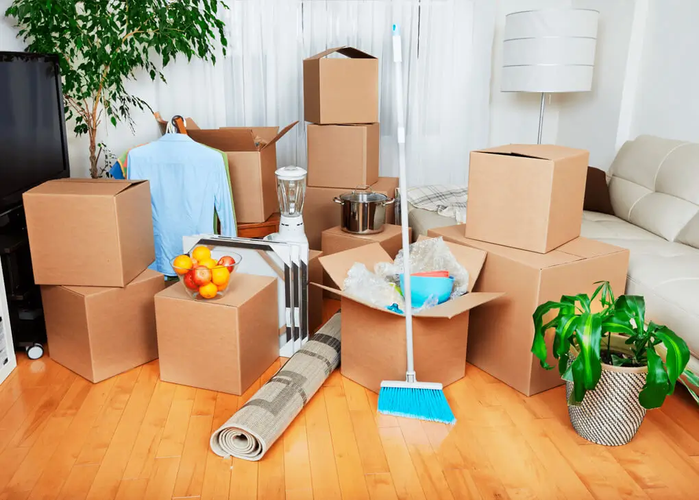 Move-In/Out Cleaning